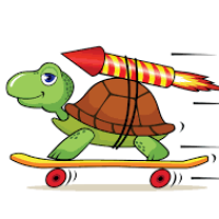 fast-turtle